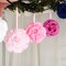 2 BLUSH 7" Silk Roses Flowers Kissing Balls Wedding Events Centerpieces